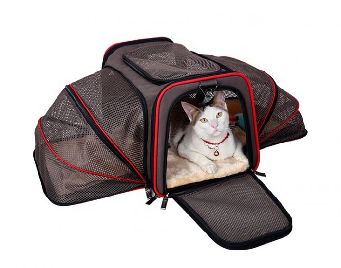 Kedi Taşıma Çantaları