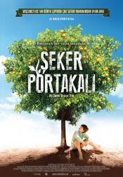 seker-portakali